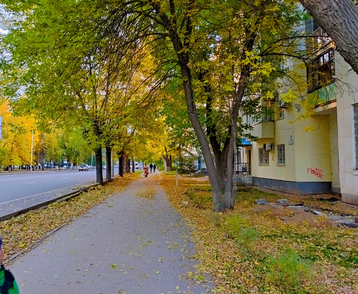Фото моё.