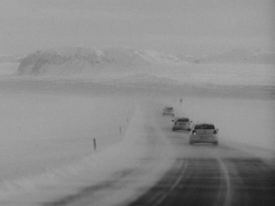     фото: pexels.com