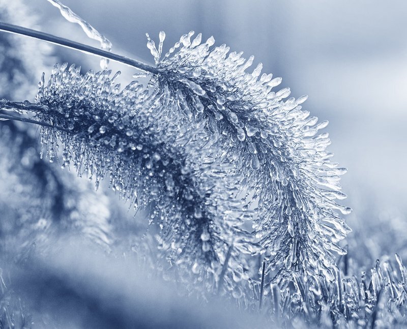 Рисунок №1. Зимняя сказка - снег, перекристаллизованный в льдинки.