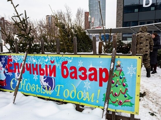     фото густаво зырянова/мк в новосибирске