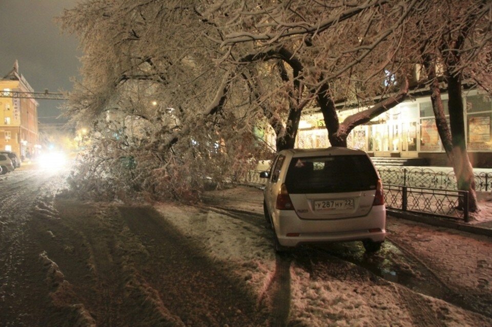     Фото: архив КП