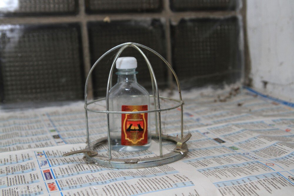 
Фотограф: Кирилл Шипицин © Фотобанк Бабра