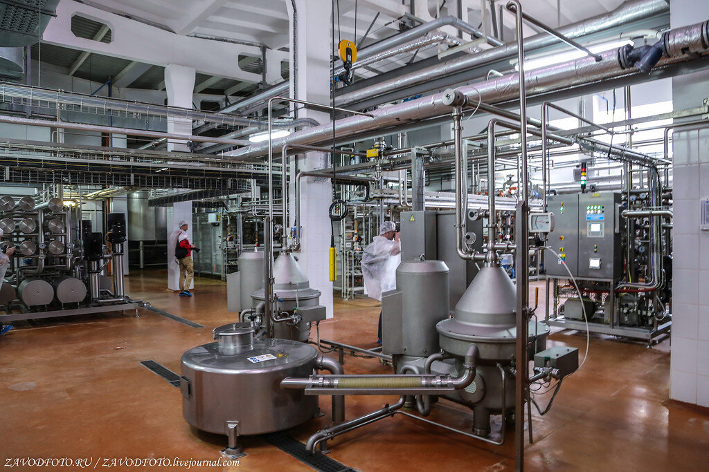 Мантуровский сыркомбинат. Производство сыворотки. Калачеевский сырзавод молвест. Молоко производство. Рубцовский молочный завод алтайский край.