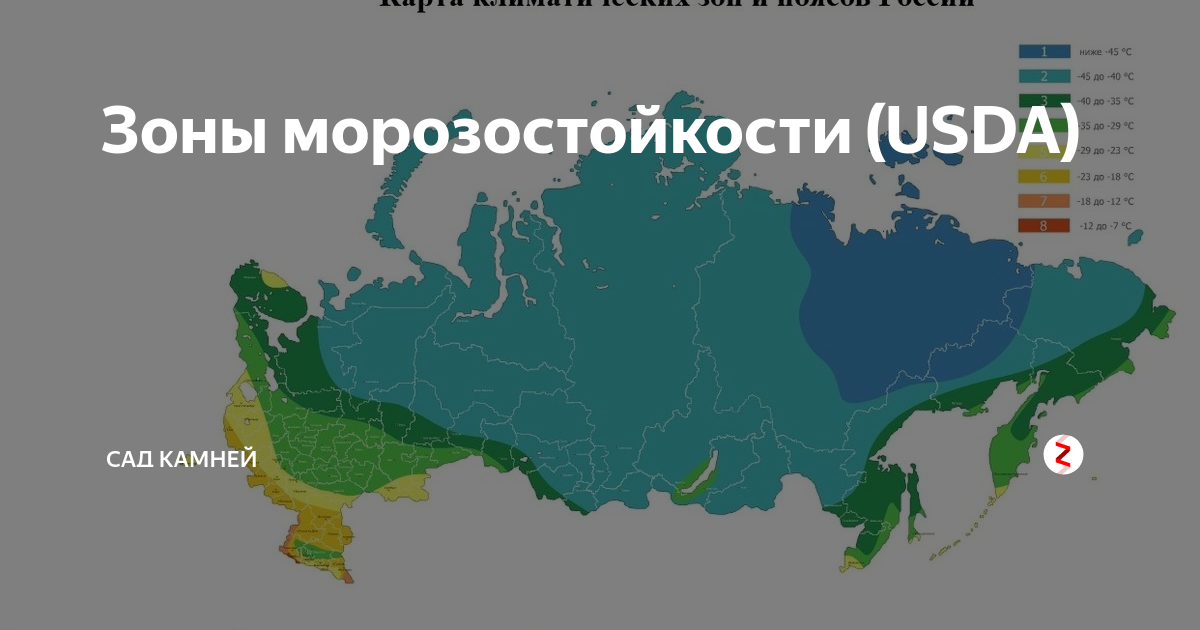 Зоны зимостойкости россии. Карта зон морозостойкости России по USDA. Карта климатических зон России USDA. Зона морозостойкости USDA. Зимостойкость растений по зонам.