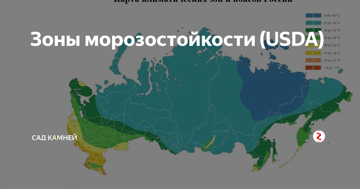 Новая карта зона 7. Карта зон морозостойкости России по USDA. Карта климатических зон России USDA. Зона морозостойкости USDA. Зимостойкость растений по зонам.