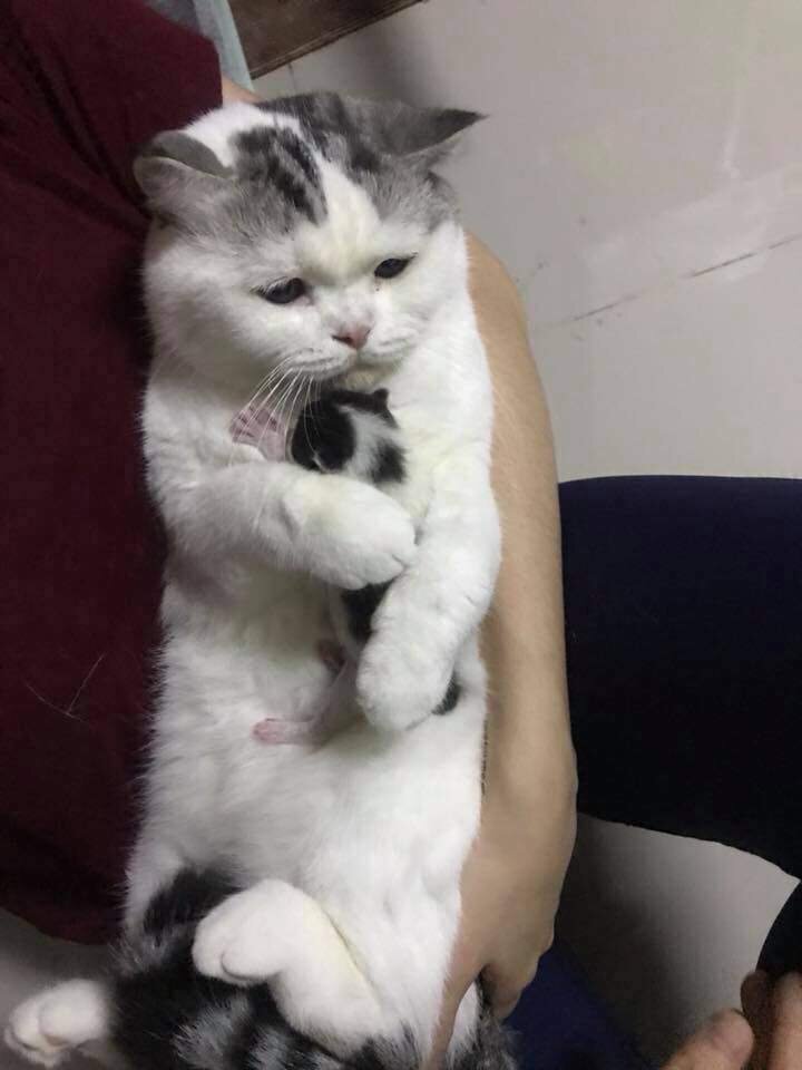 Лучшие друзья, и не важно кто вы :)