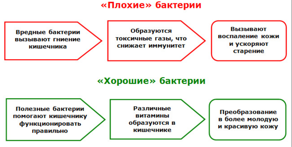 Назови плохие качества. Полезные и вредные бактерии таблица. Вредные и полезные бактерии схема. Что делают вредные бактерии для человека. Полезные и вредные бактерии.