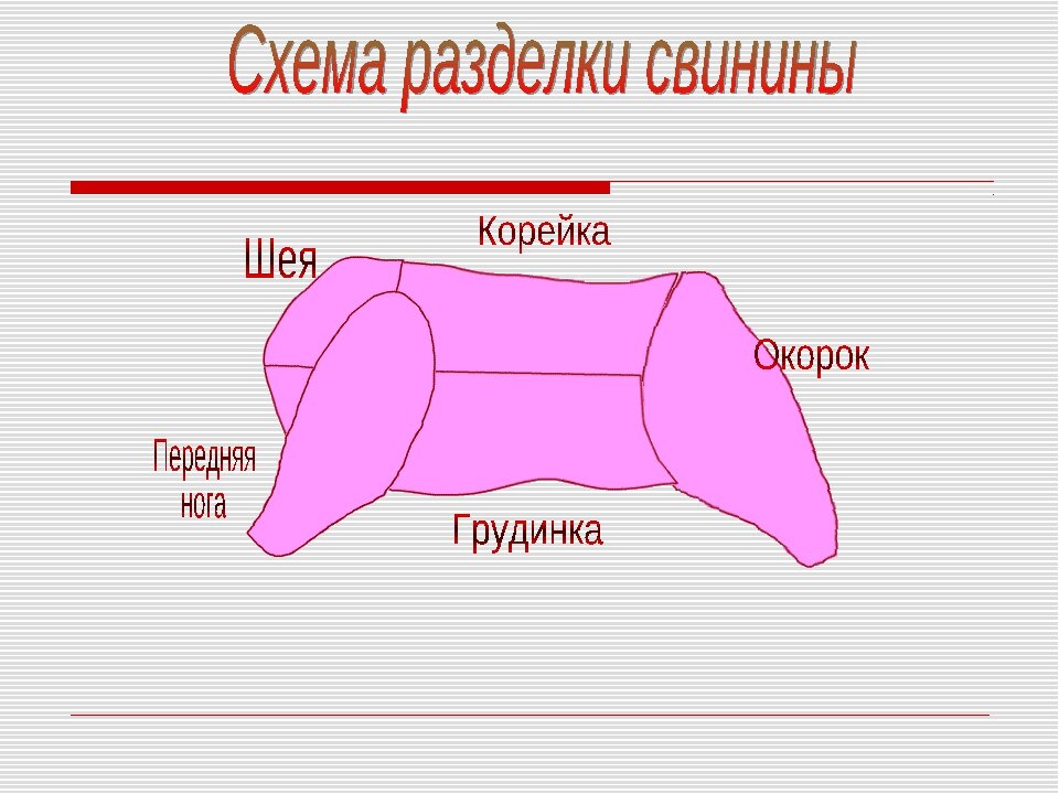 Схема разделки свиной туши с названиями частей