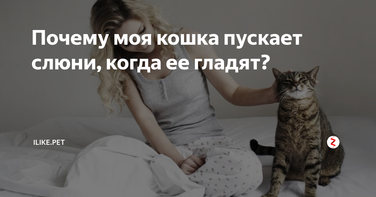 слизь в кале у щенка форум