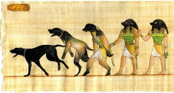 В Кинополе (древний Египет) жило огромное количество собак, которые встречали почет и уважение местных жителей