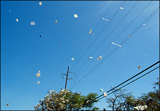 Фото с сайта Joshbergeron.com 
