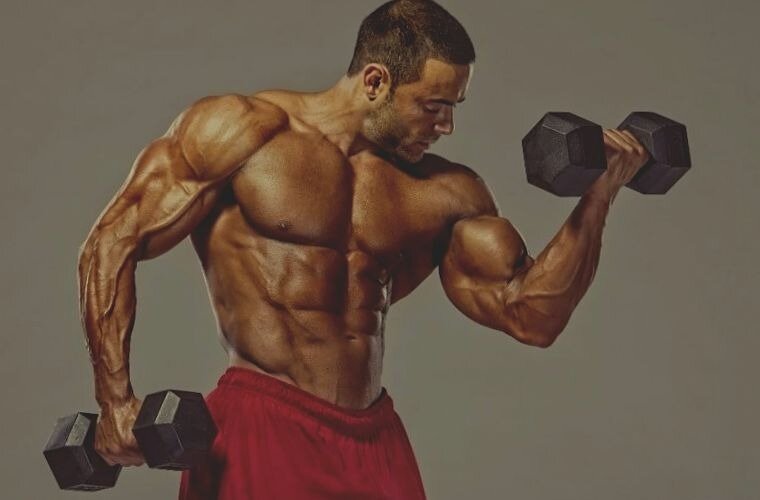 Фото с yandex.ru 