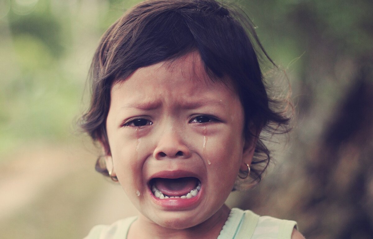 Articles partitifs французский. Articles partitifs французский. Степени сравнения прилагательных во французском языке. Moins que. Moins que.