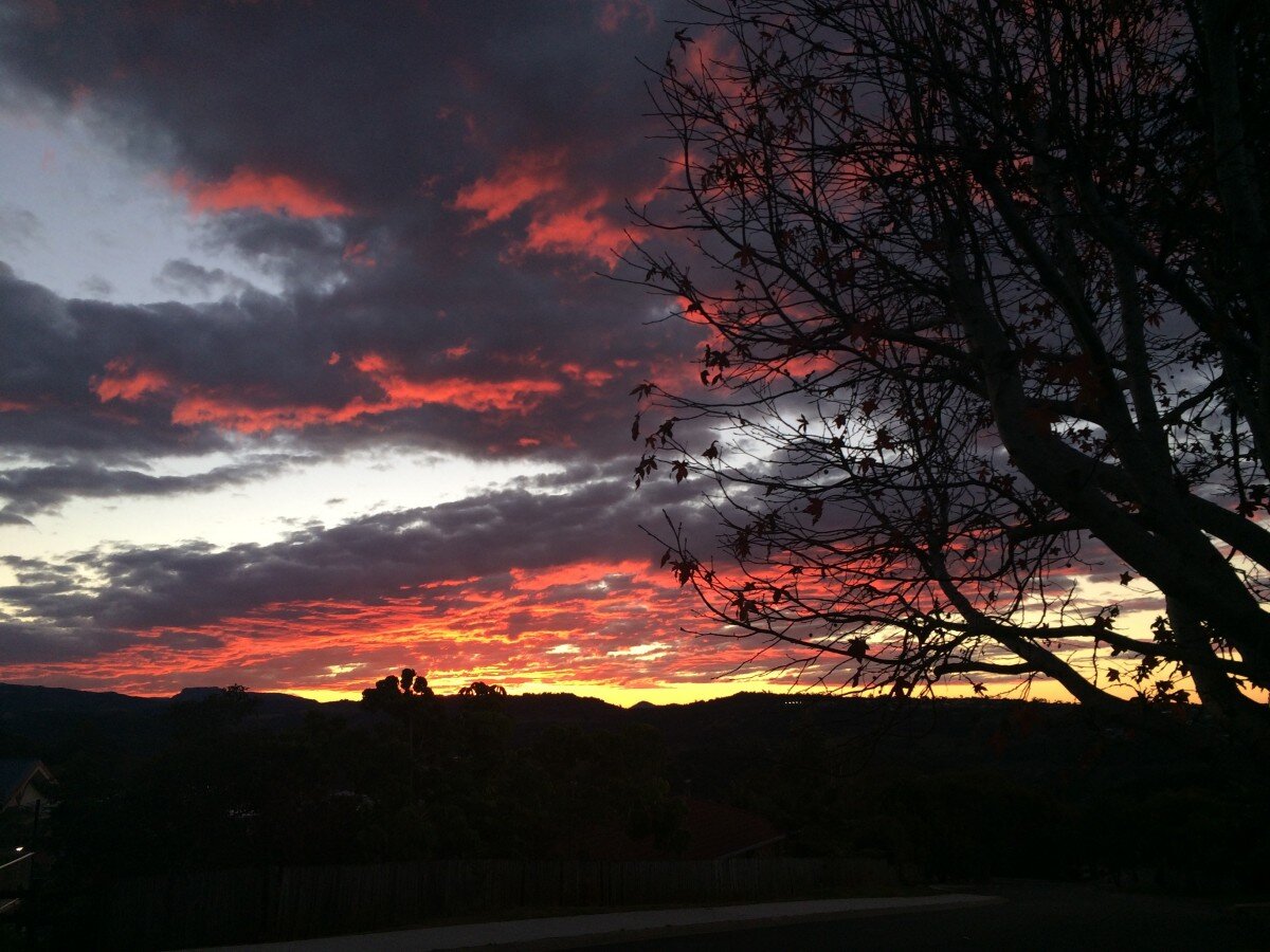 Фото: https://c.pxhere.com/photos/fe/94/photo-28083.jpg!d