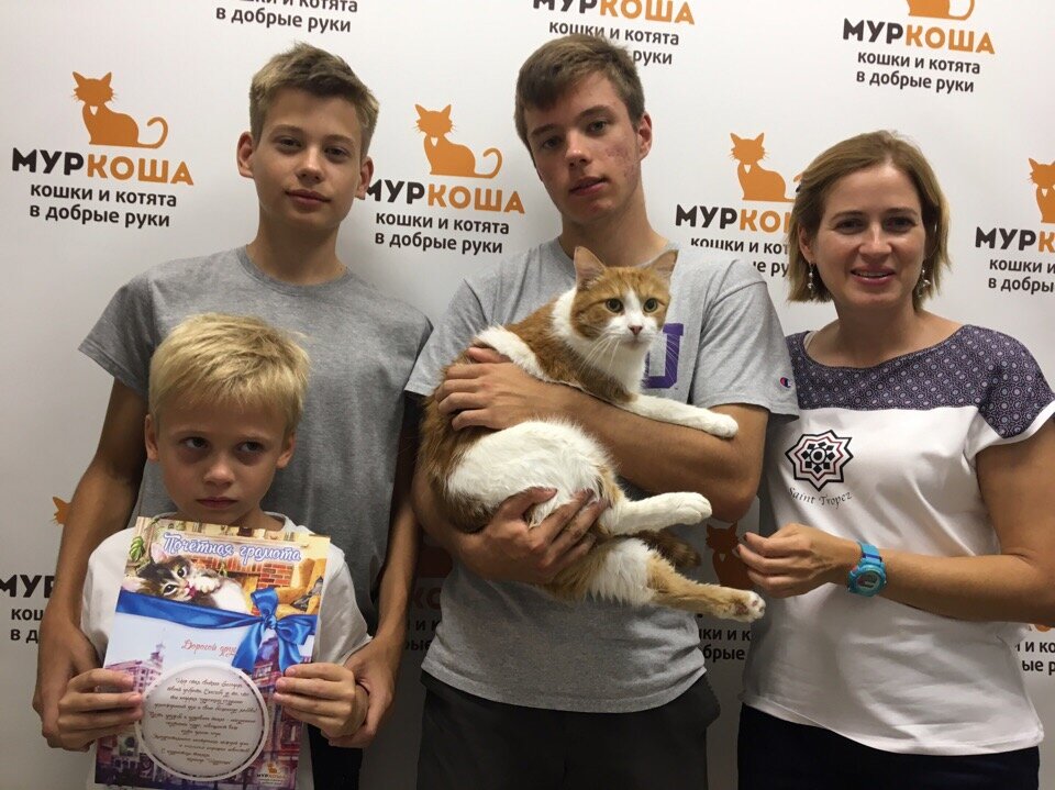 Приют Муркоша. Adoption центр для кошек «Муркоша». Приют Муркоша лого.