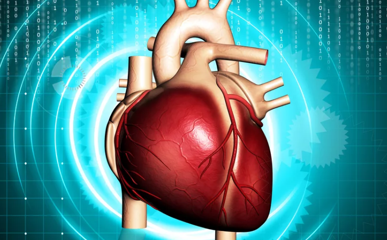 Источник: https://doctor-cardiologist.ru