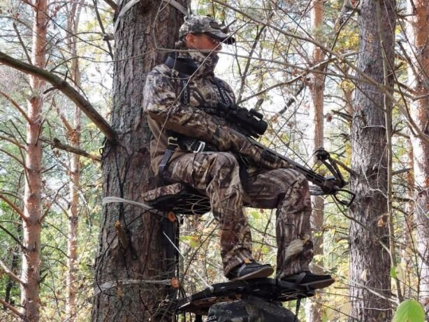 Как выглядит тристенд