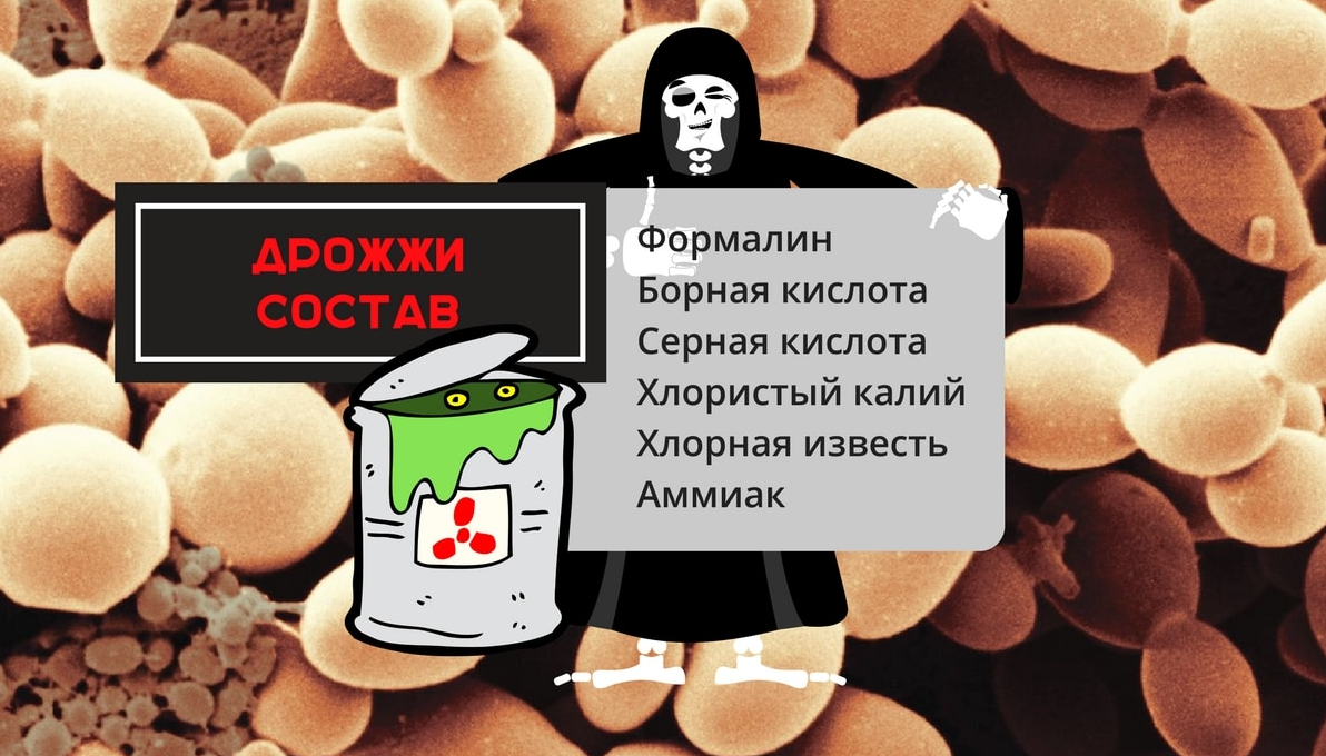 Термофильные дрожжи это