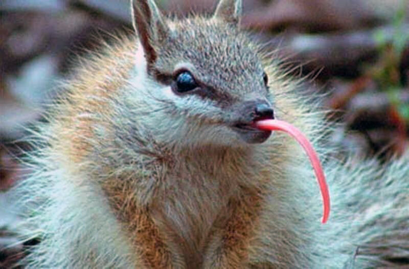 Эй, пацанчик, закурить есть?