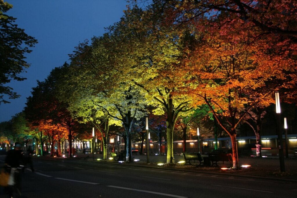 Unter der linden