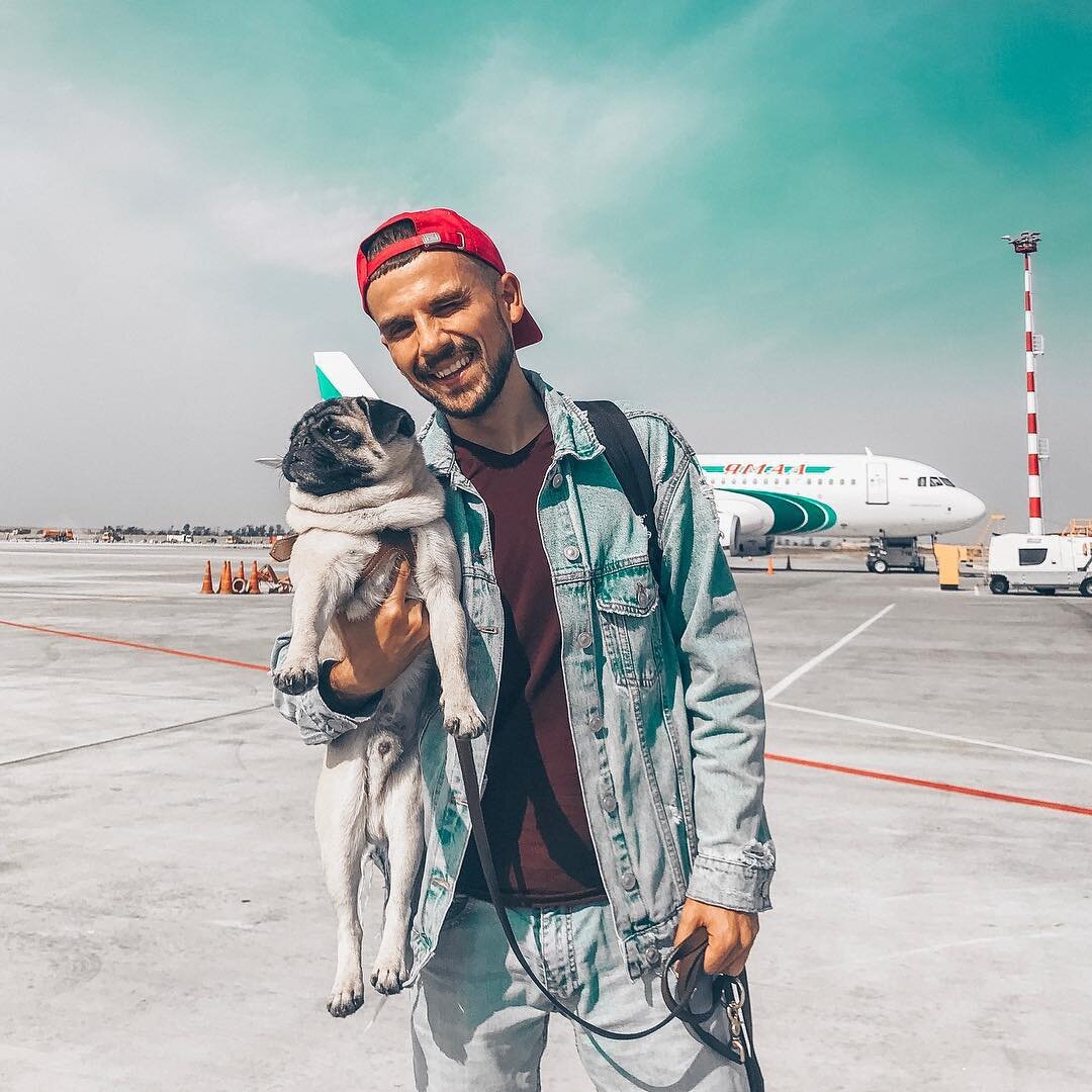 За последние 3,5 года мы ни разу не летали без Кекса, всегда держим его в отлиной форме весом в 8кг, а перед самим перелетом даже немного худеем на 200-300грамм, чтобы пустили в салон самолета, мы категорически против перевозки мопсов в багажном отделении самолета
