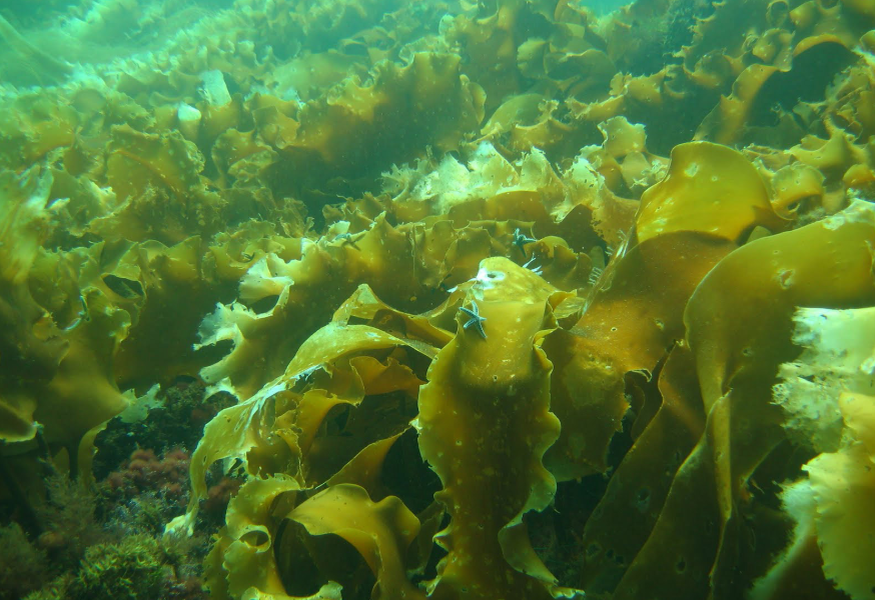 Взято с zdorovo-zhivi.ru