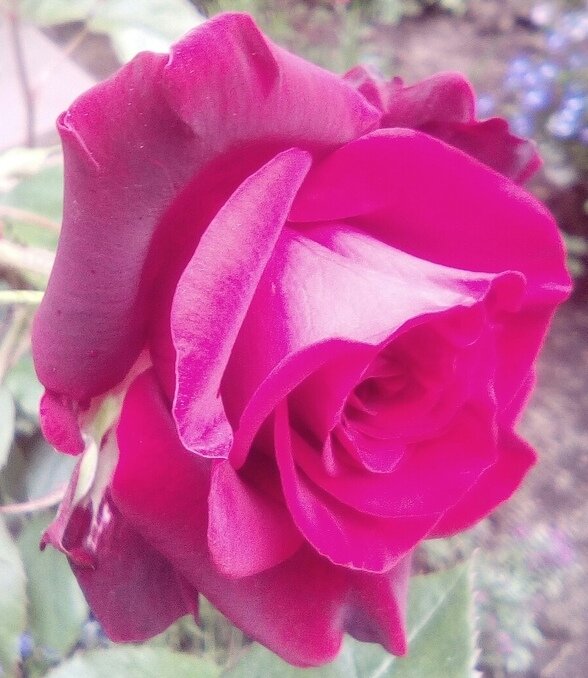 Автор фото: Максим Вишневский 