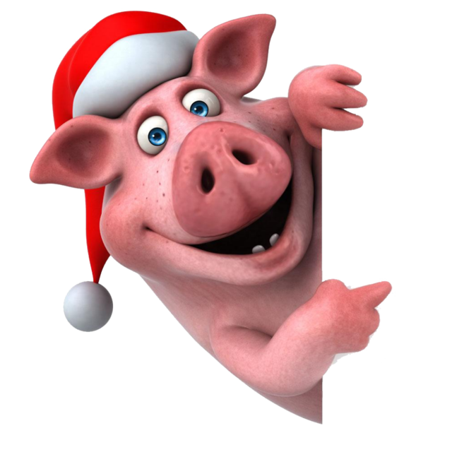 Традиции и приметы 
Не надо забывать про обряды, традиции , так же приметы. Их соблюдение даст спокойствие на весь год. Чтобы поросенок принес в семью финансы, в квартиру покупают статуэтки данного животного. Они должны быть из фарфора или глины. На елку вешают игрушки круглой формы. Это тоже привлечет достаток и защитит семью от ссор. Наряжать нужно живую, а не искусственную елку. Перед тем как встречать новый год, надо избавиться от битой посуды. Это поможет избежать финансовых потерь и больших проблем со здоровьем. В карманах новогоднего костюма должны иметься крупные купюры, а перед началом боя курантов в бокал с шампанским кидают монетку. После опустошения бокала ее ложат в кошелек и носят с собой на протяжении целого года. Это принесет в дом удачу, будет пора интересных возможностей