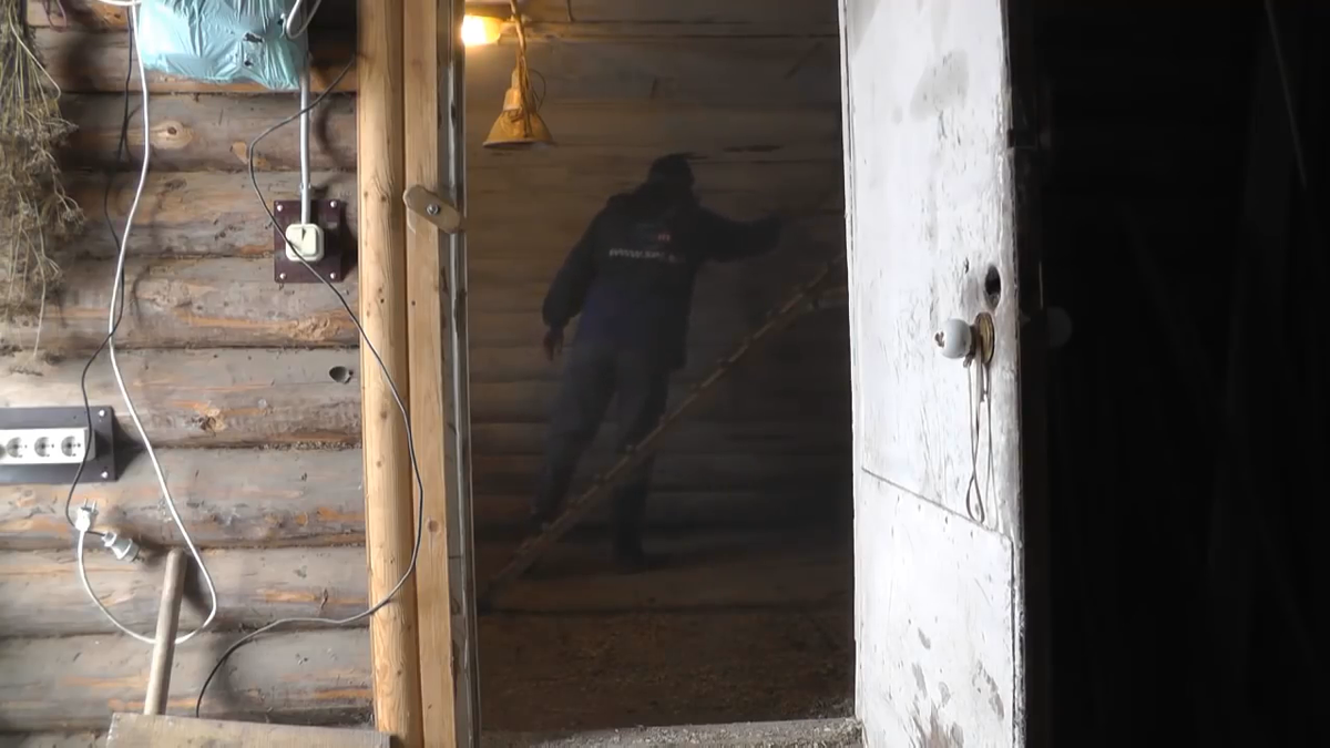 подготовка курятника перед  дезинфекцией.  фото автора канала В. Н.  Воронова 