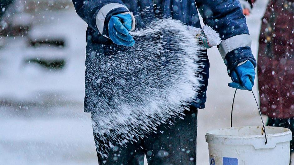 Фото: https://proteh.org. 