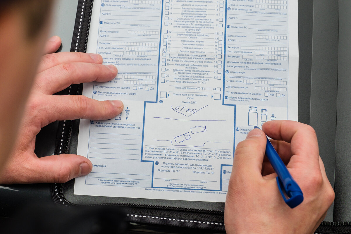 Фото: somanyhorses.ru 