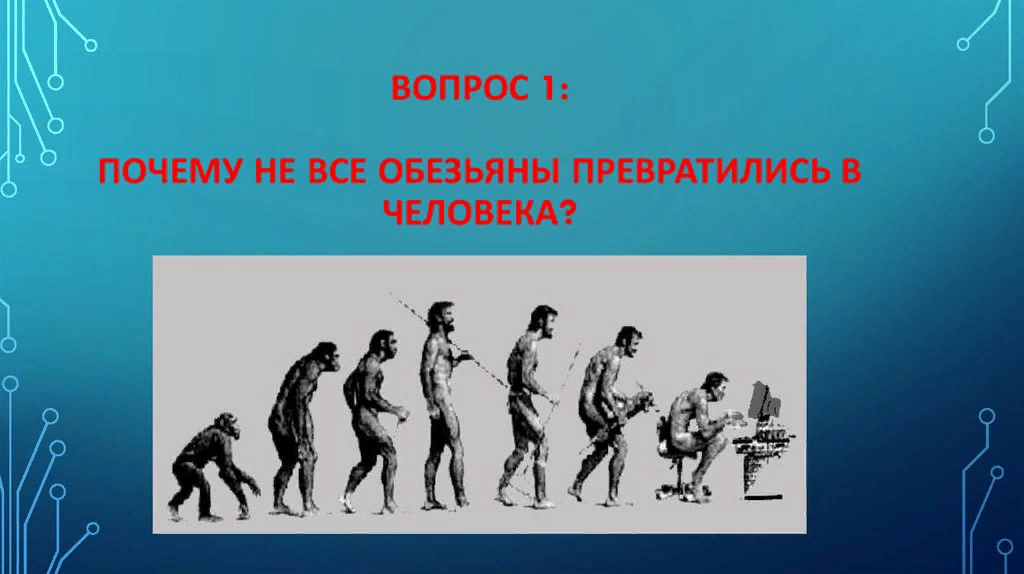 Процесс превращения человека в обезьяну. День превращения обезьяны в человека. День превращения обезьяны в человека 16 апреля. Почему обезьяны не превращаются в человека. Почему обезьяны не эволюционируют в человека.
