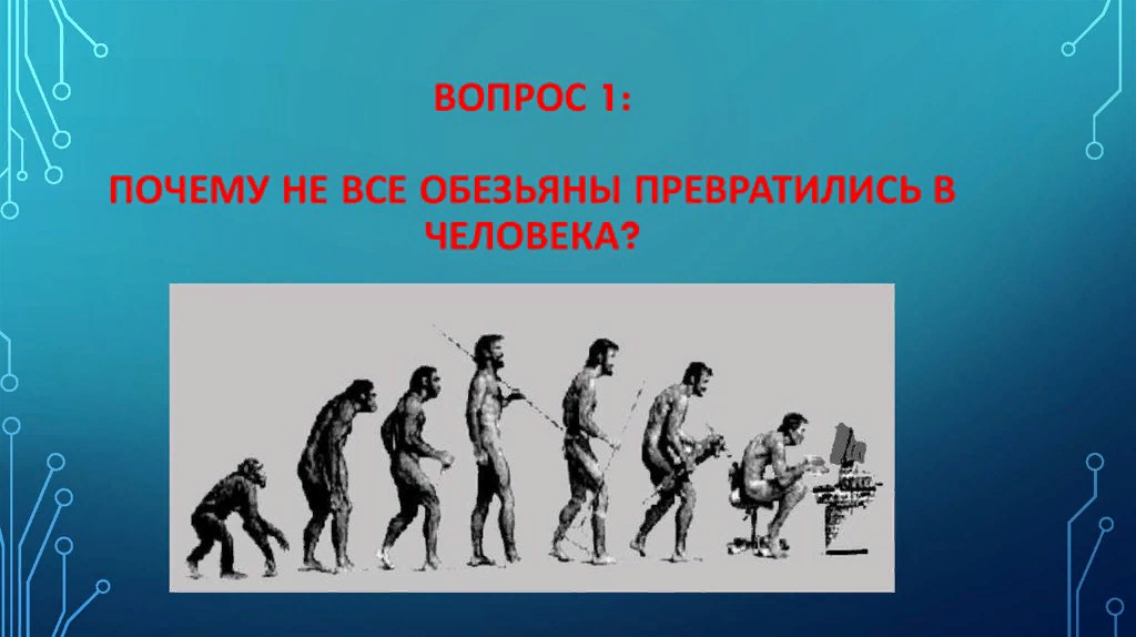 День превращения обезьяны в человека. День превращения обезьяны в человека 16 апреля. Почему обезьяны не превращаются в человека. Почему обезьяны не эволюционируют в человека. Процесс превращения человека в обезьяну