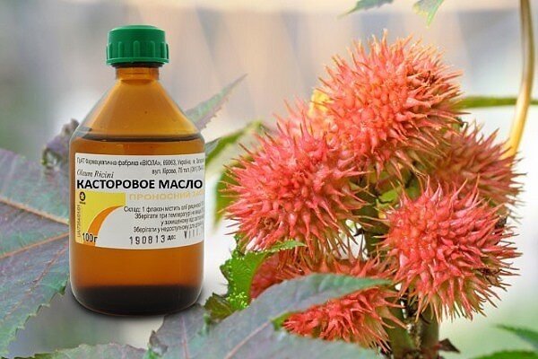 А вы используете касторовое масло в качестве удобрения?