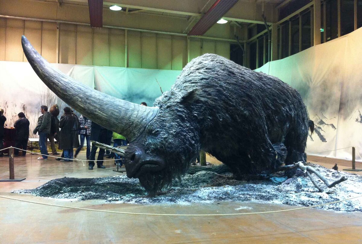 Источник фото animaljournal.ru