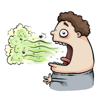 Фото: открытый источник