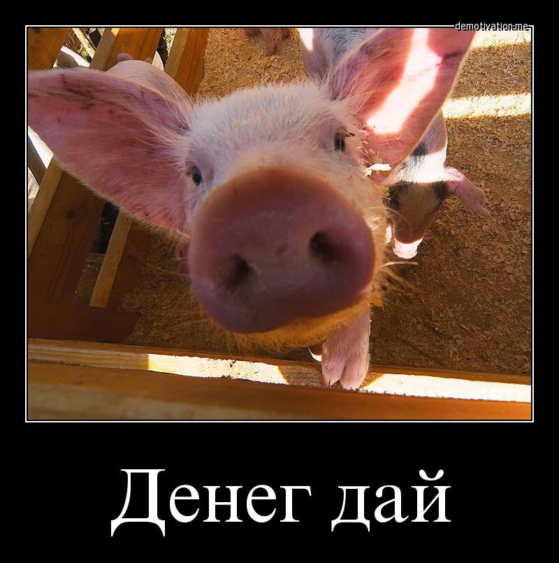 Яндекс картинки.                        piped.info