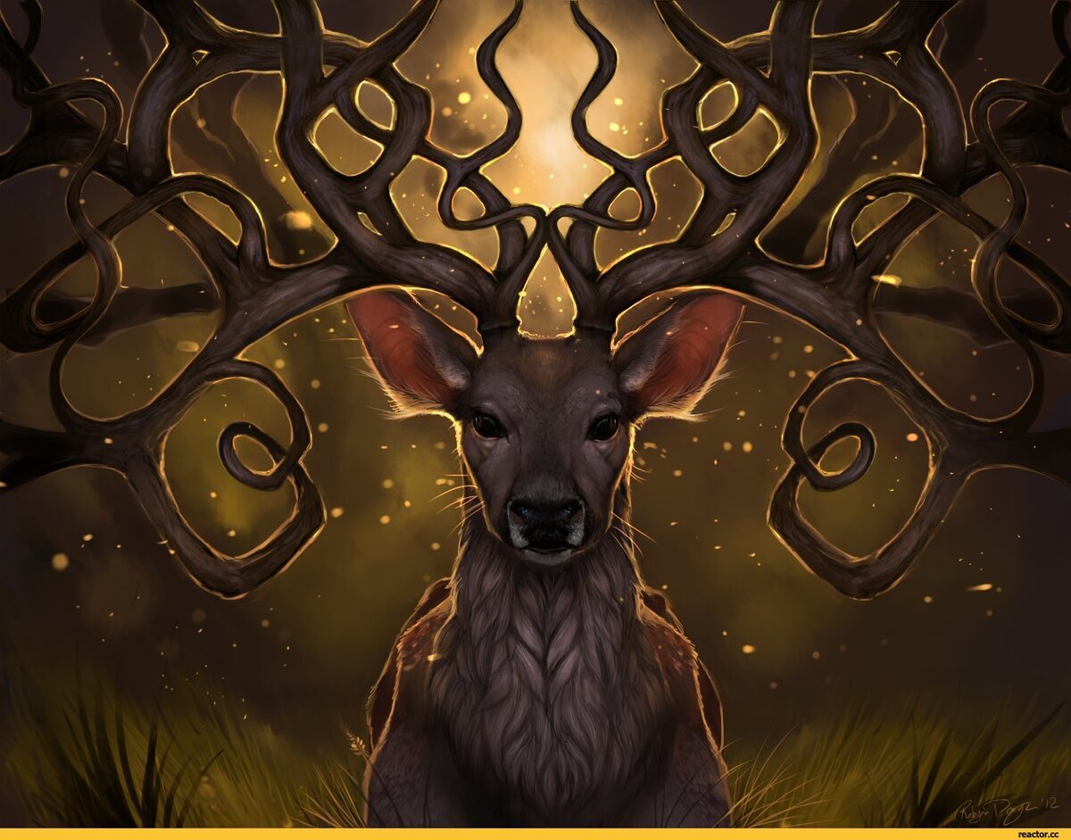 картинка найдена на просторах интернета