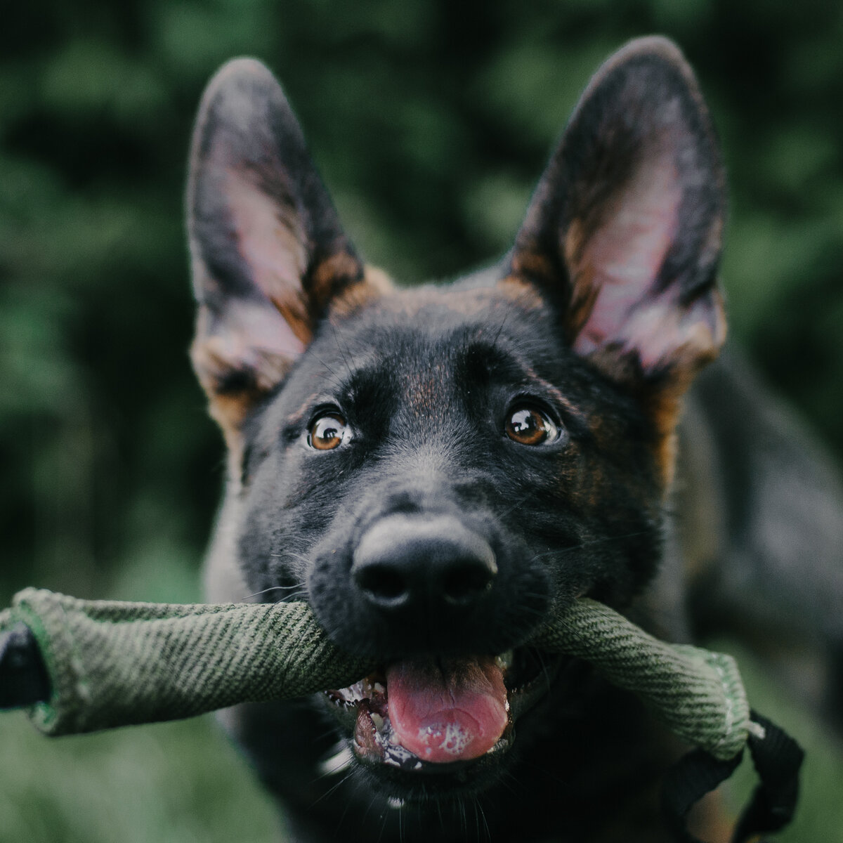 Брут Климсвевик. Фото Фаины Поганько. Из личного архива