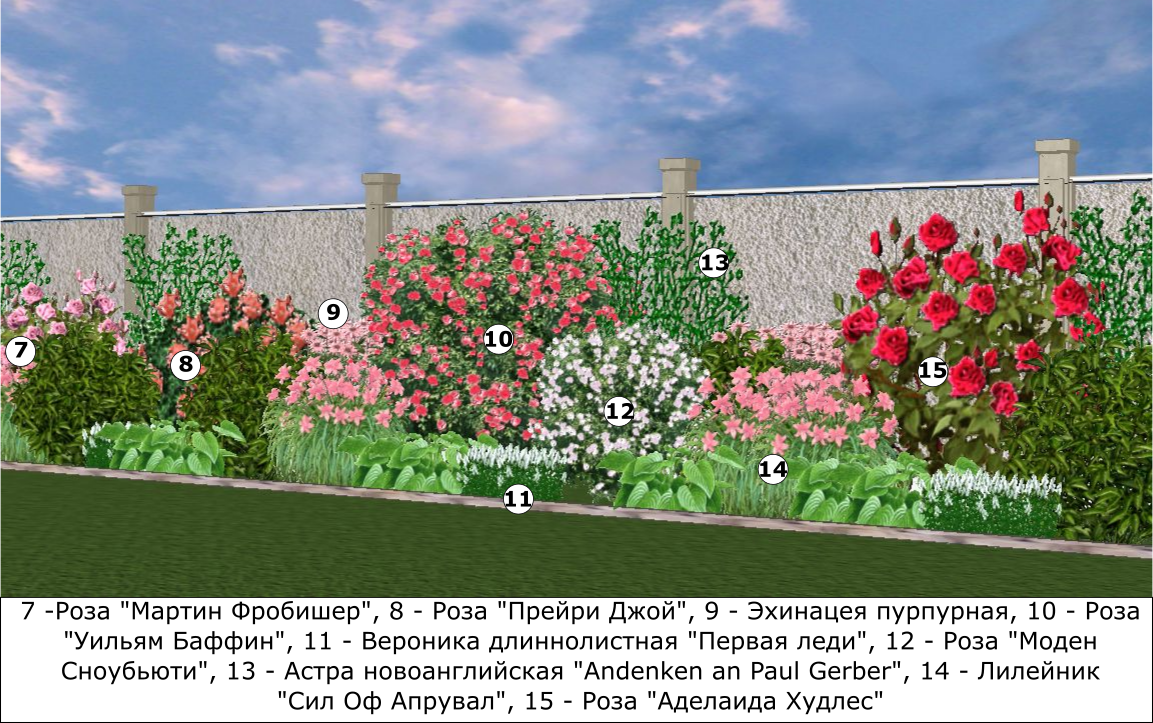 Как самостоятельно создать клумбу из роз