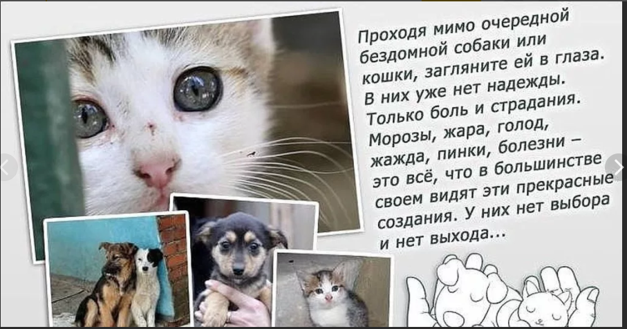Как рвётся душа помочь тем, кто в беде. 
