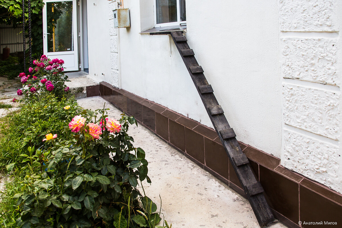 На фото: так теперь выглядит цоколь на главном фасаде нашего дома.