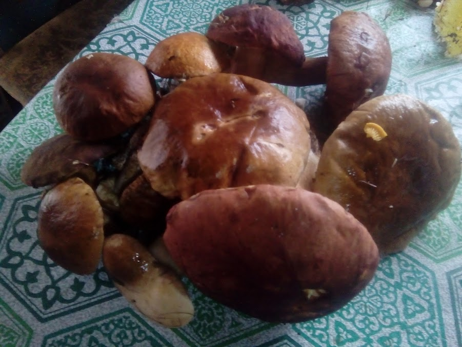 Фото из личного архива