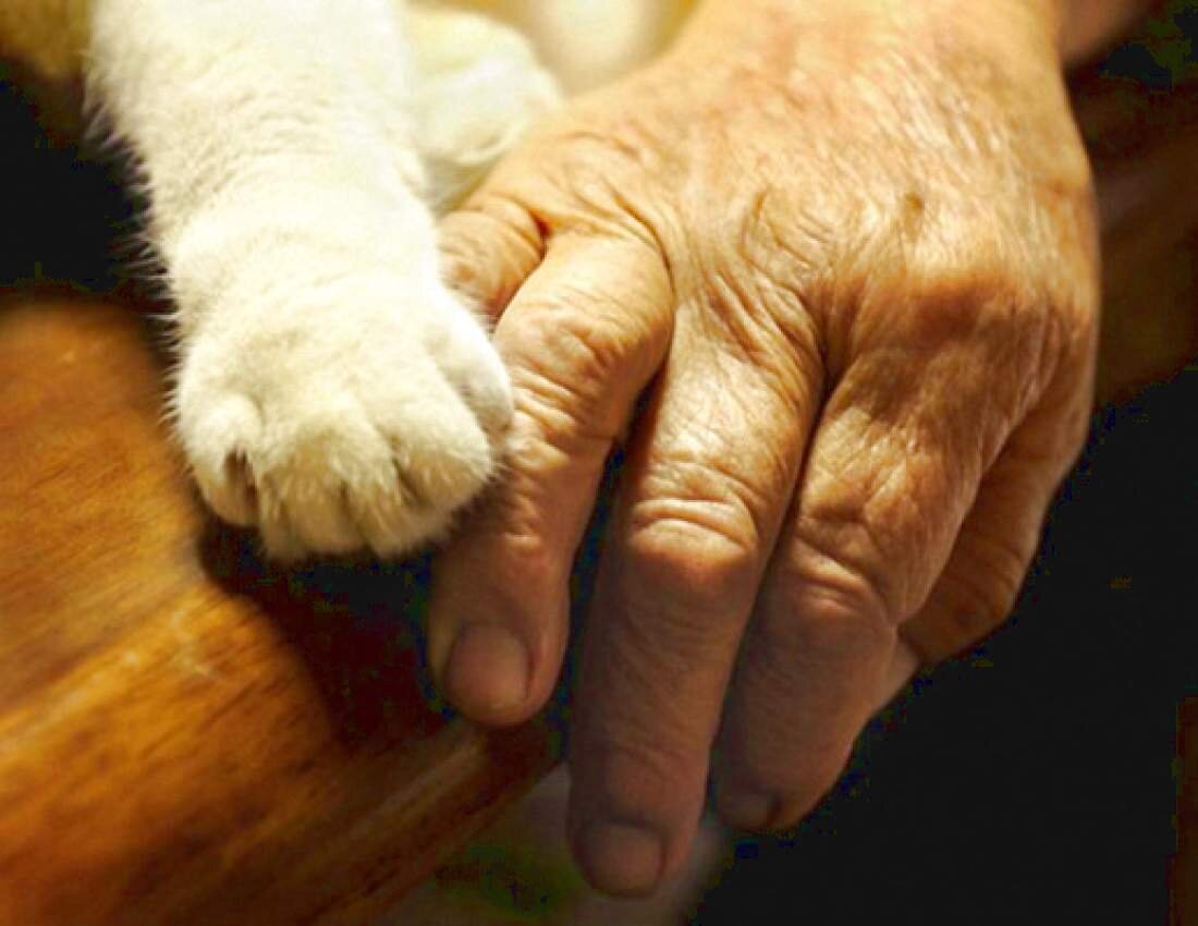 яндекс.картинки