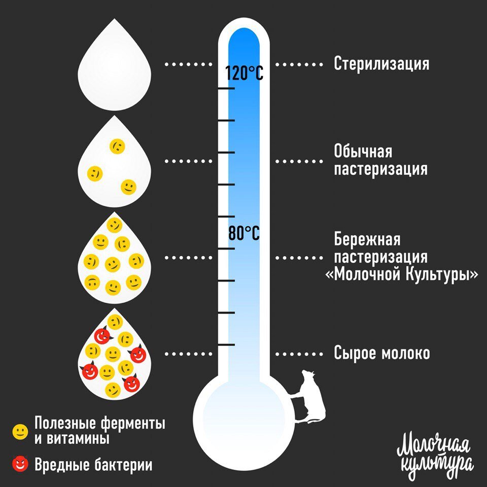 ТВОРОГ ИЛИ ТВОРОЖНЫЙ ПРОДУКТ | Заметки Нутрициолога | Дзен