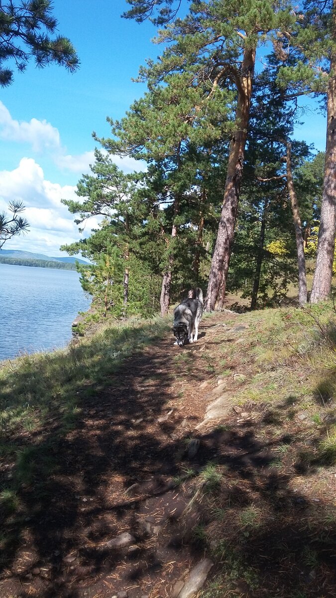 Иду по следу