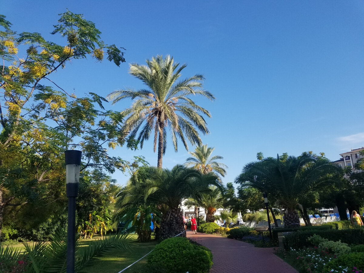 Территория очень зеленая и ухоженная