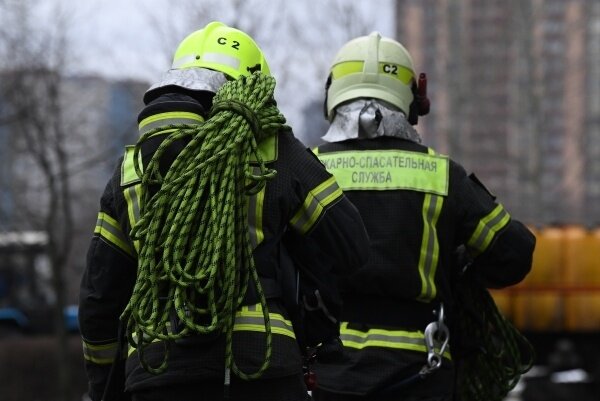 Фото: РИА Новости 