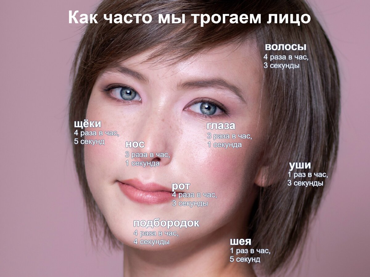Как часто мы трогаем лицо и средняя продолжительность прикосновения. Источник: Kwok YL, Gralton J, McLaws ML «Face touching: A frequent habit that has implications for hand hygiene» (2015). American Journal of Infection Control