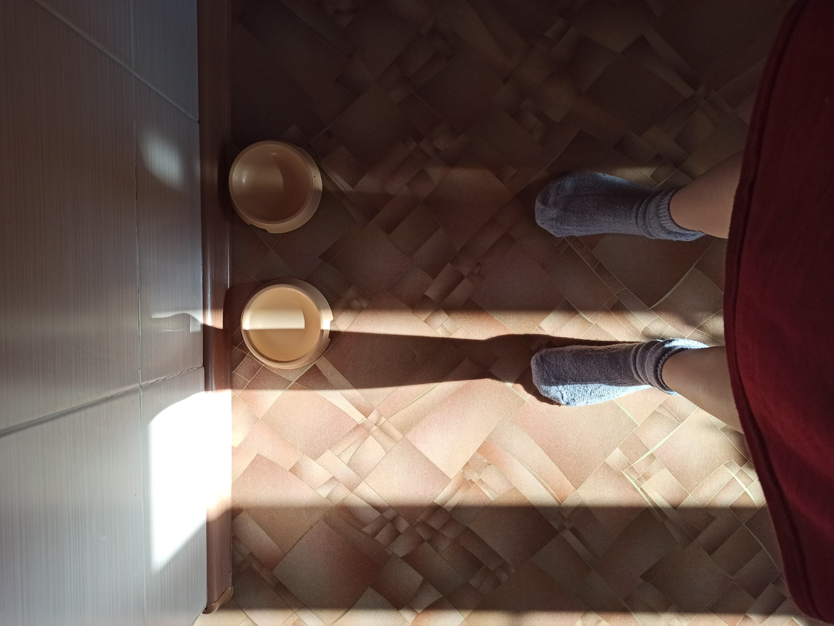 Зову котика кушать, но он не зовется. 